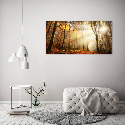 Foto auf Acryl Nebel im Wald