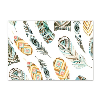 Acrylglas-Druck Ethnische Federn