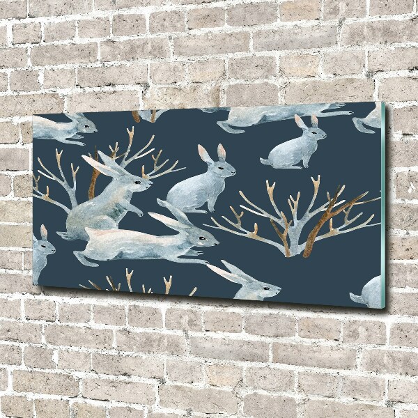 Foto auf Acryl Kaninchen im Winter