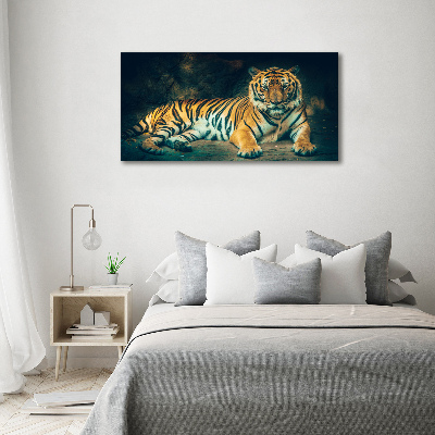Bild auf Acrylglas Tiger in der Höhle