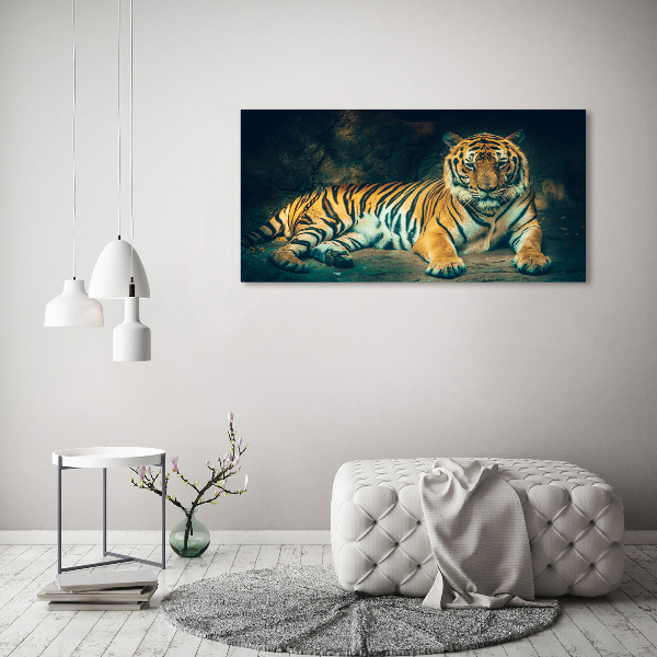 Bild auf Acrylglas Tiger in der Höhle