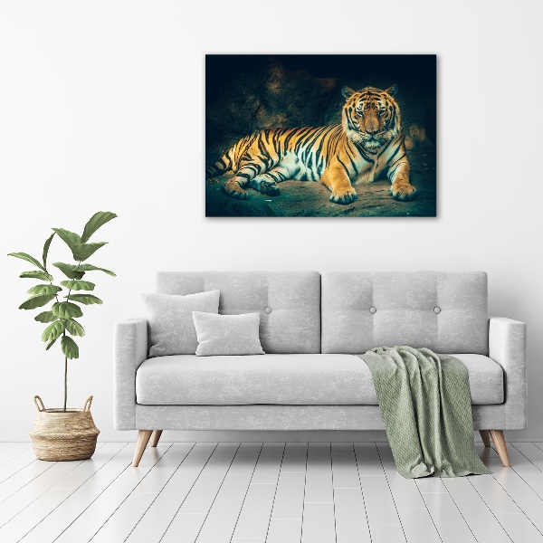 Bild auf Acrylglas Tiger in der Höhle