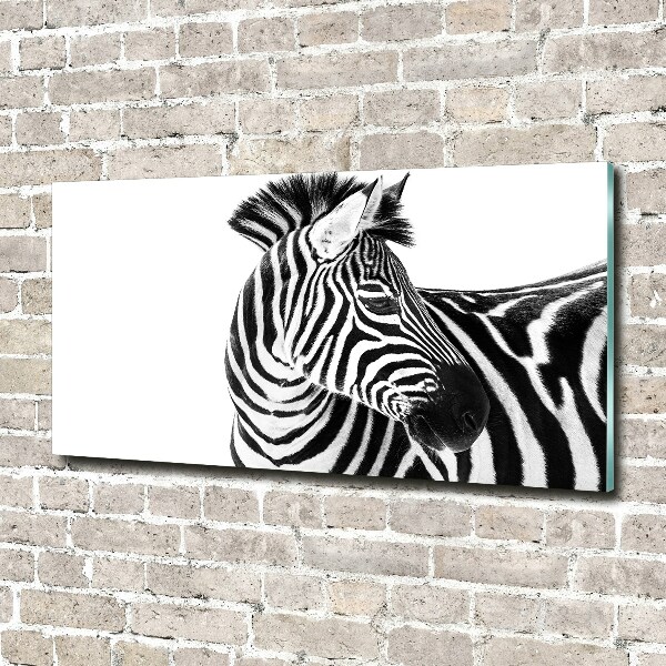 Acrylbild Fotodruck Zebra im Schnee