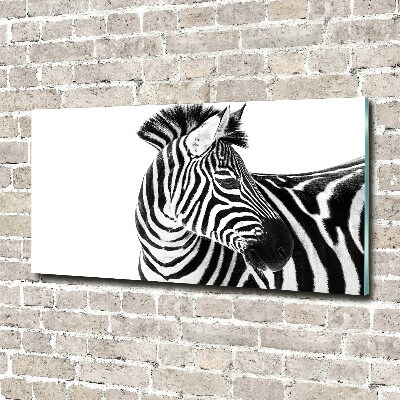 Acrylbild Fotodruck Zebra im Schnee