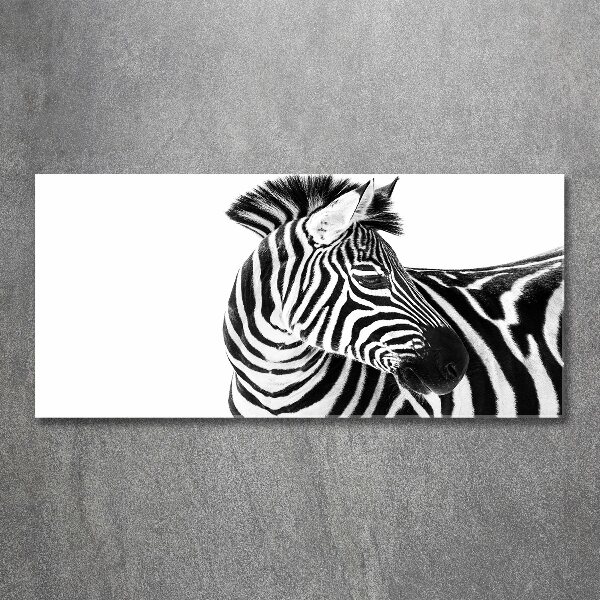 Acrylbild Fotodruck Zebra im Schnee