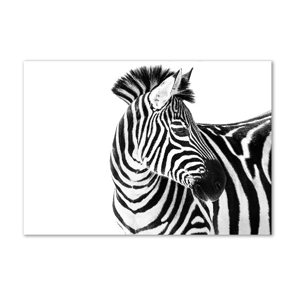 Acrylbild Fotodruck Zebra im Schnee