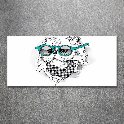 Acrylglas-Druck Katze mit Brille