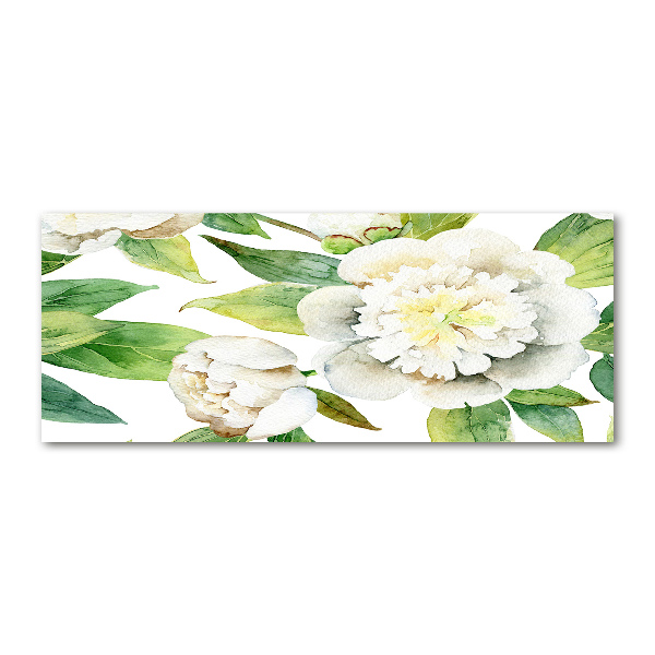 Acrylbild Fotodruck Pfingstrosen