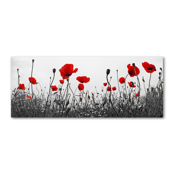 Bild auf Acrylglas Mohnblumen