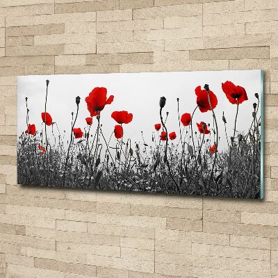 Bild auf Acrylglas Mohnblumen