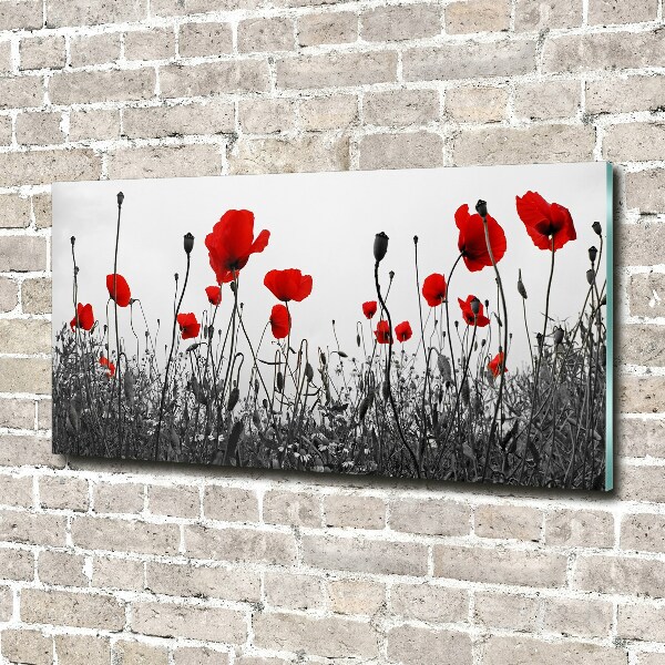 Bild auf Acrylglas Mohnblumen