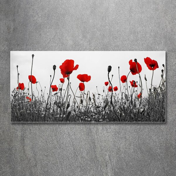 Bild auf Acrylglas Mohnblumen