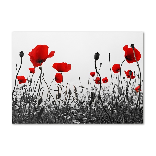 Bild auf Acrylglas Mohnblumen