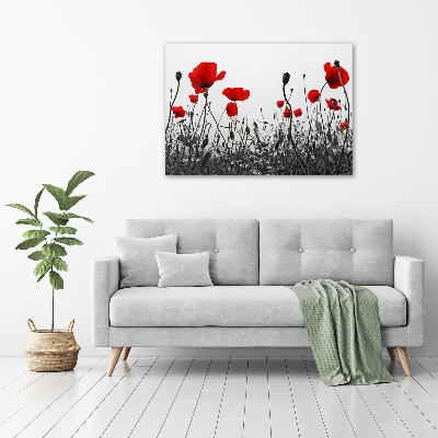 Bild auf Acrylglas Mohnblumen