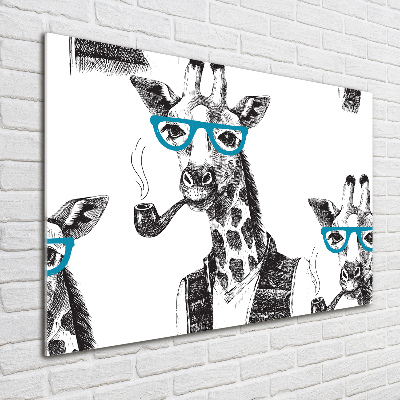 Bild auf Acrylglas Giraffe mit Brille