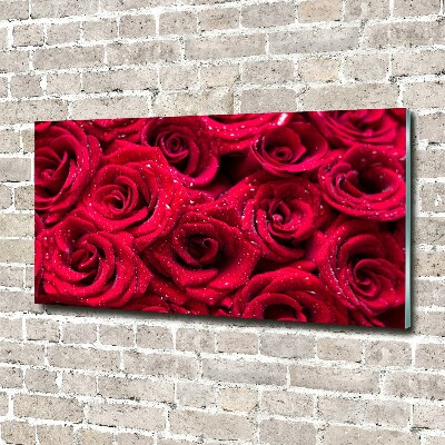 Acrylbild Fotodruck Tropfen auf Rosen