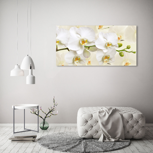 Foto auf Acryl Orchidee