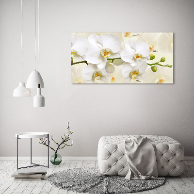 Foto auf Acryl Orchidee