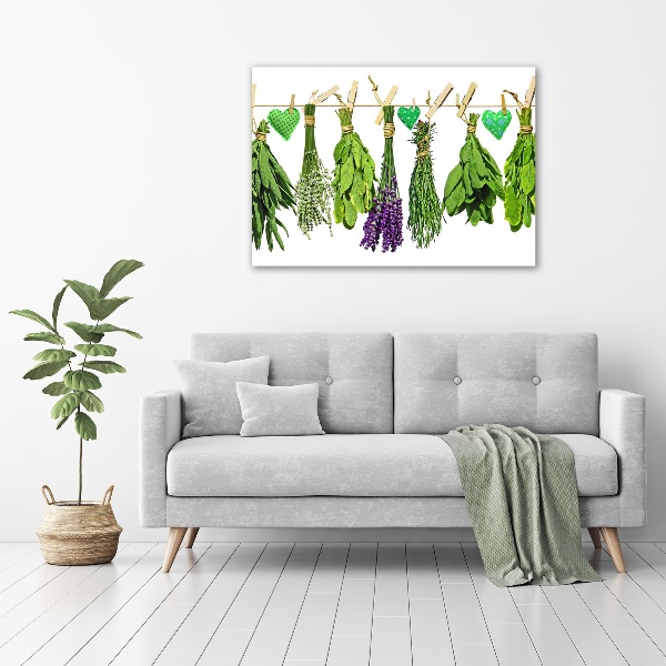 Bild auf Acrylglas Kräuter an einer Schnur