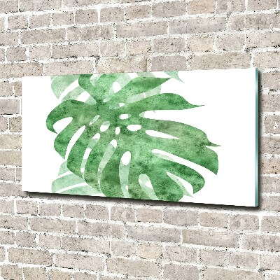 Foto auf Acryl Monstera