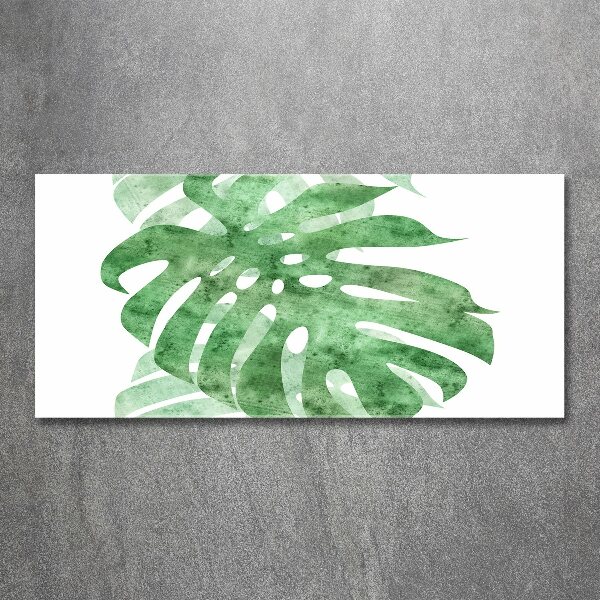 Foto auf Acryl Monstera