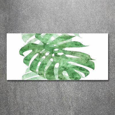 Foto auf Acryl Monstera