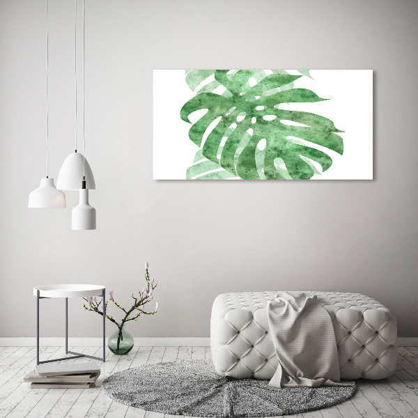 Foto auf Acryl Monstera