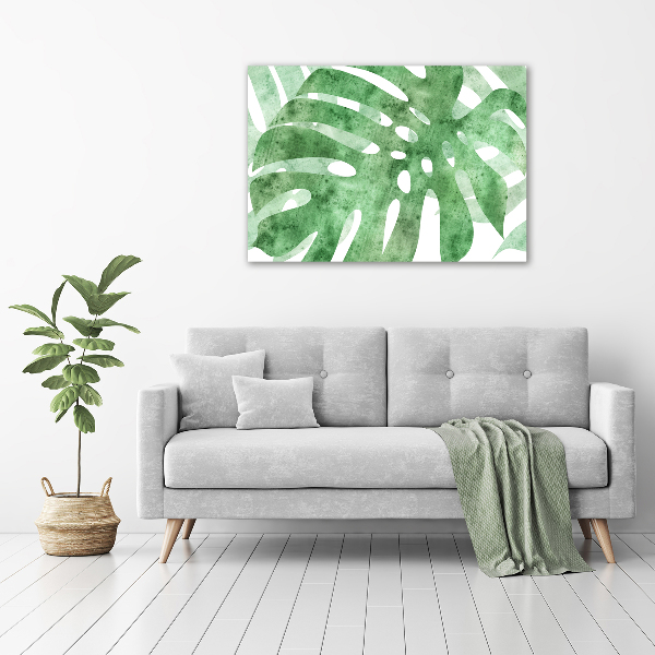 Foto auf Acryl Monstera