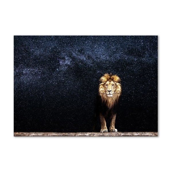 Acrylbild Fotodruck Löwe gegen die Sterne