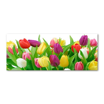 Acrylbild Fotodruck Bunte Tulpen