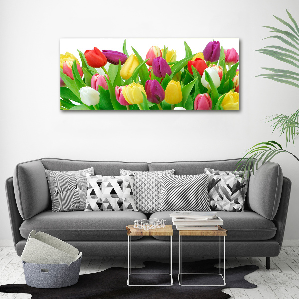 Acrylbild Fotodruck Bunte Tulpen