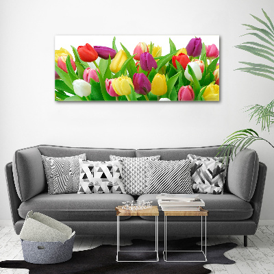 Acrylbild Fotodruck Bunte Tulpen