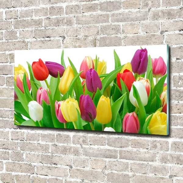 Acrylbild Fotodruck Bunte Tulpen