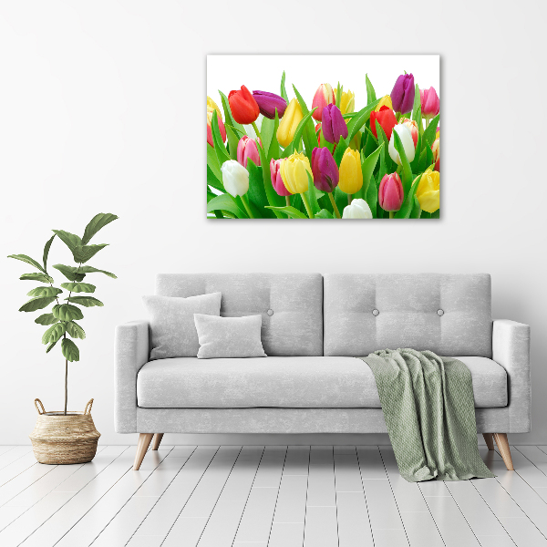 Acrylbild Fotodruck Bunte Tulpen