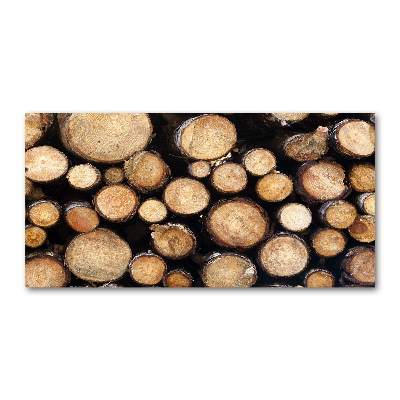 Foto auf Acryl Holzstämme