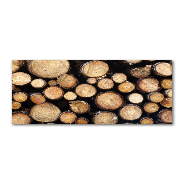 Foto auf Acryl Holzstämme