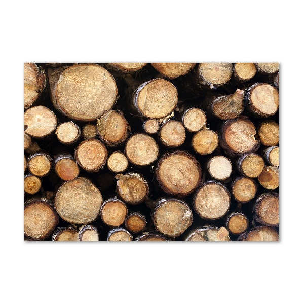 Foto auf Acryl Holzstämme