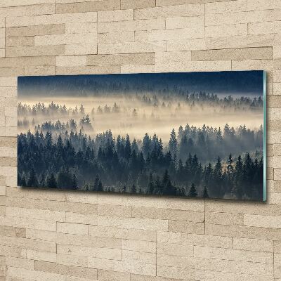 Bild auf Acrylglas Nebel über dem Wald