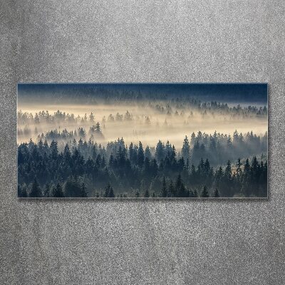 Bild auf Acrylglas Nebel über dem Wald