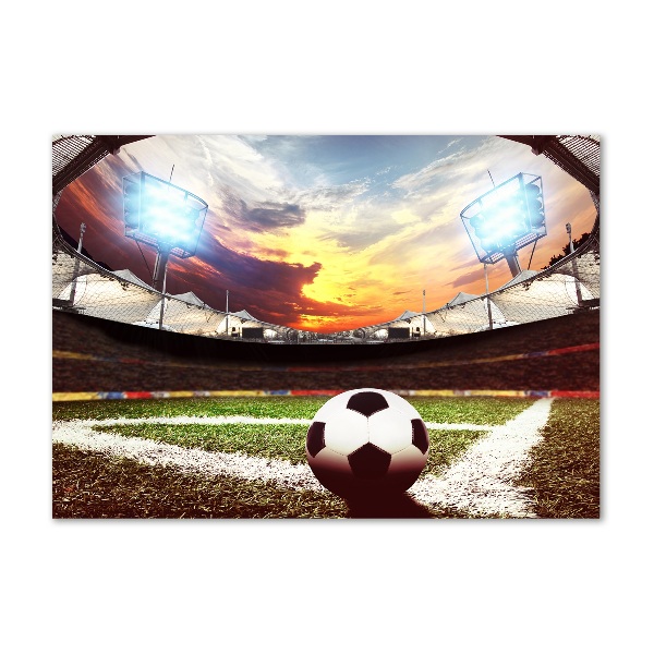 Foto auf Acryl Ball im Stadion