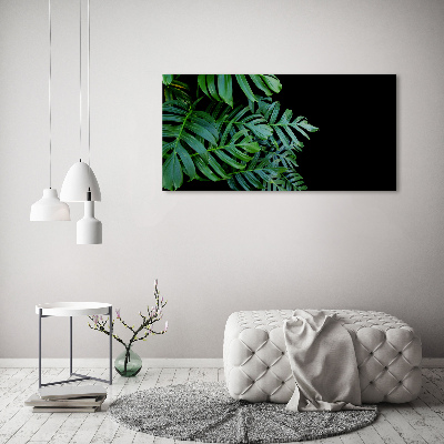 Foto auf Acryl Monstera
