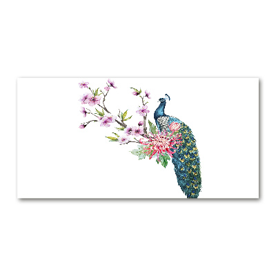 Bild auf Acrylglas Pfau und Blumen