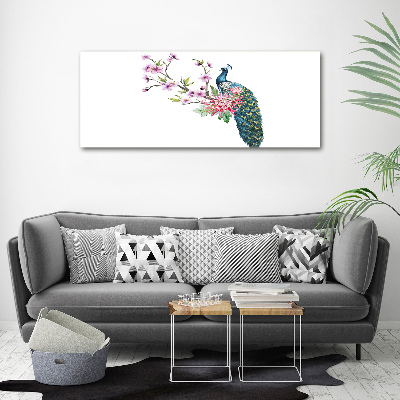 Bild auf Acrylglas Pfau und Blumen