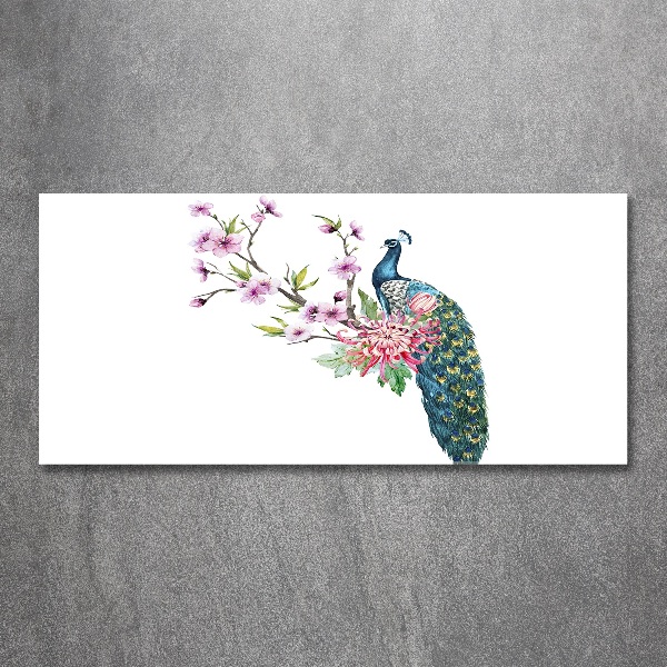 Bild auf Acrylglas Pfau und Blumen