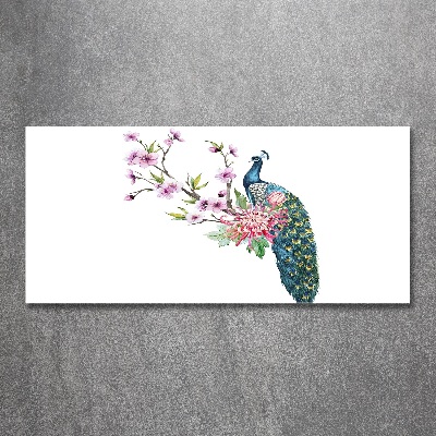 Bild auf Acrylglas Pfau und Blumen