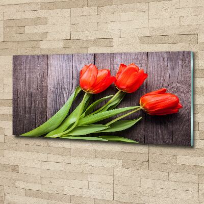 Acrylbild Fotodruck Rote Tulpen
