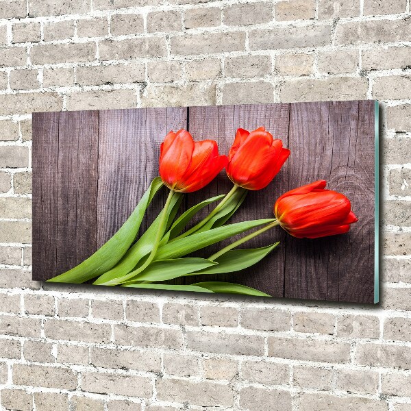 Acrylbild Fotodruck Rote Tulpen