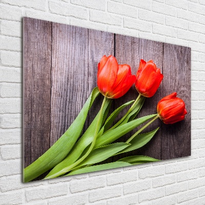 Acrylbild Fotodruck Rote Tulpen