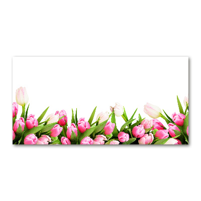 Acrylglas-Druck Rosa Tulpen