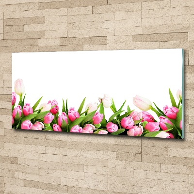 Acrylglas-Druck Rosa Tulpen